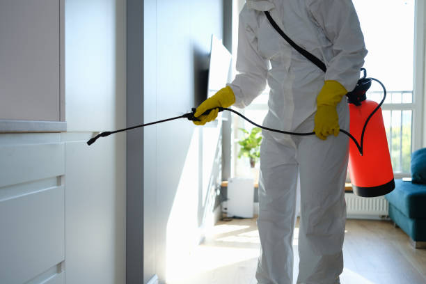 Best Industrial Mold Remediation in Forest Meadows, CA