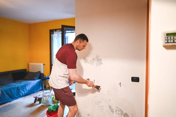 Best Post-Remediation Services in Forest Meadows, CA